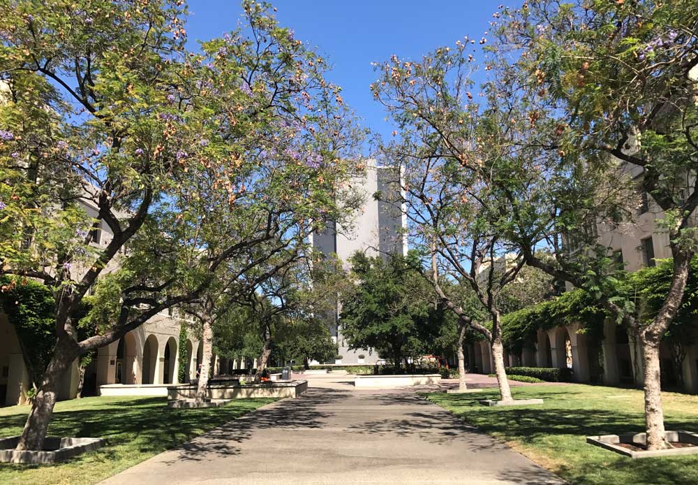 Caltech