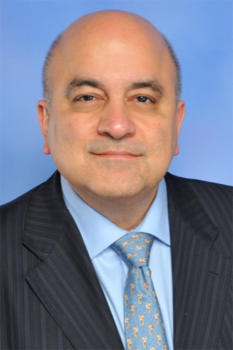 Rama Ayman Sienza Energy Board